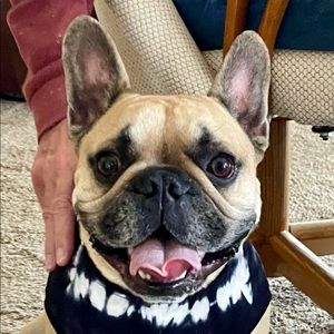 Meet your Posher, Jessika